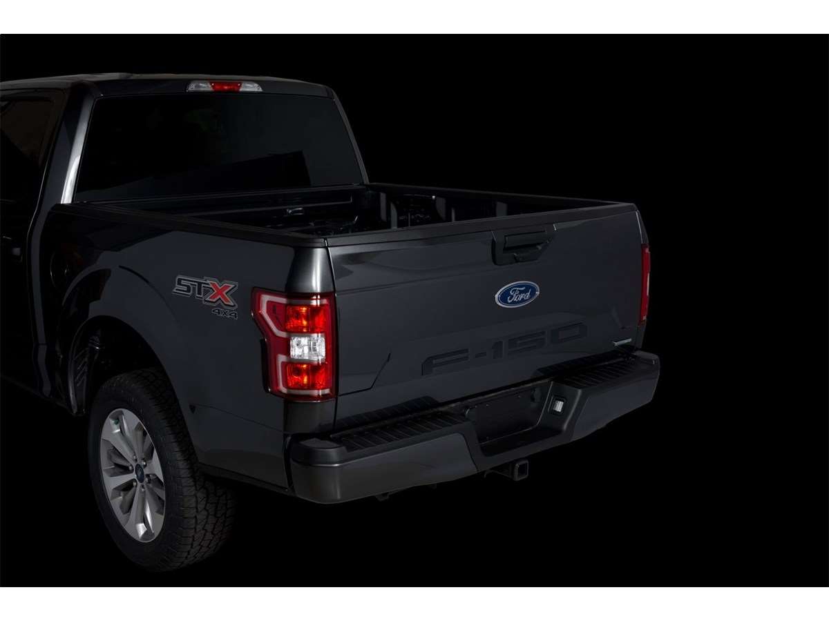 Dsi Automotive F 150 Tailgate Lettering Black Platinum